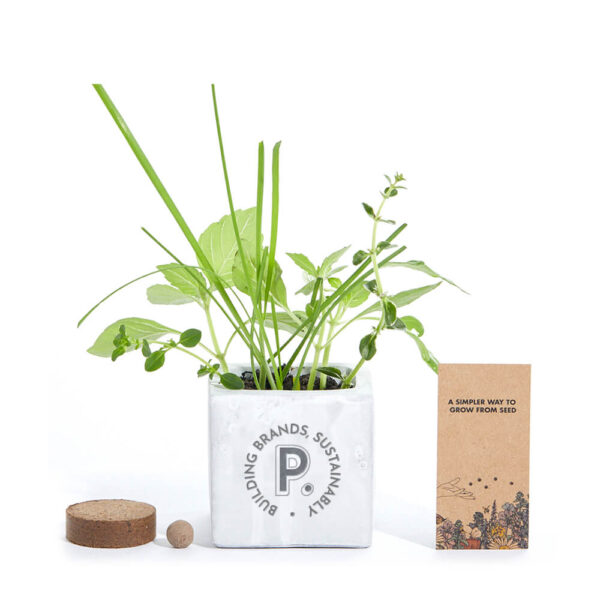 grow-kit-gift-concrete-pot-