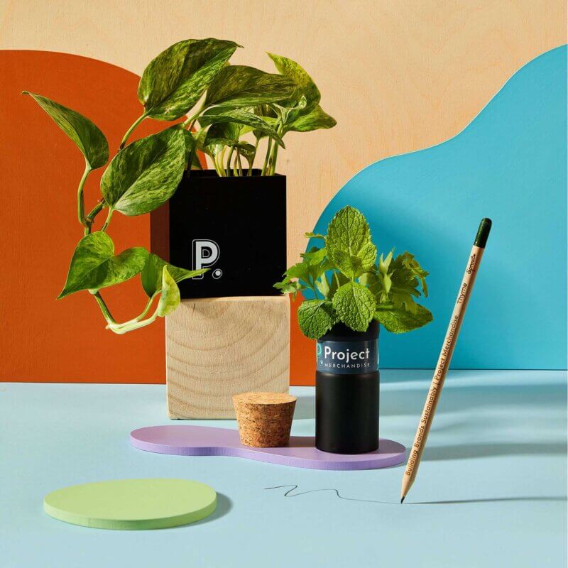 promotional-branded-plants-seeds-and-mood-boosters