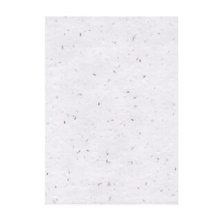 A6-Seed-Paper-Plain.jpg A6 Seed Paper Plain