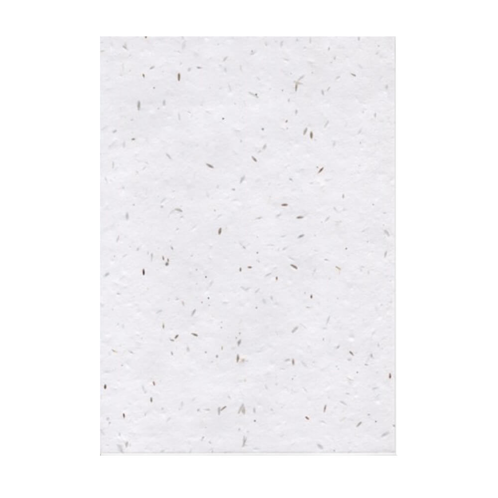A6 Seed Paper Plain