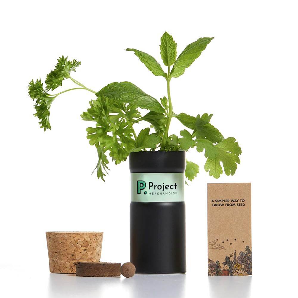 Desktop Garden