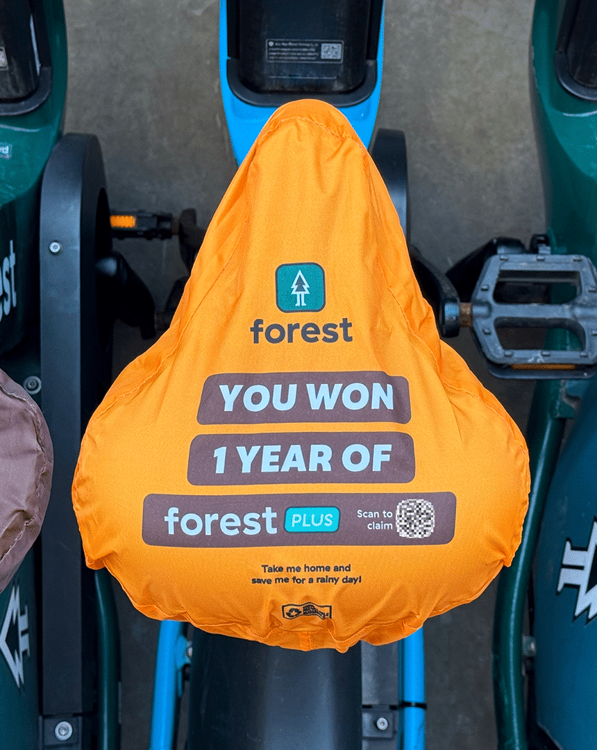 ForestBike Saddles