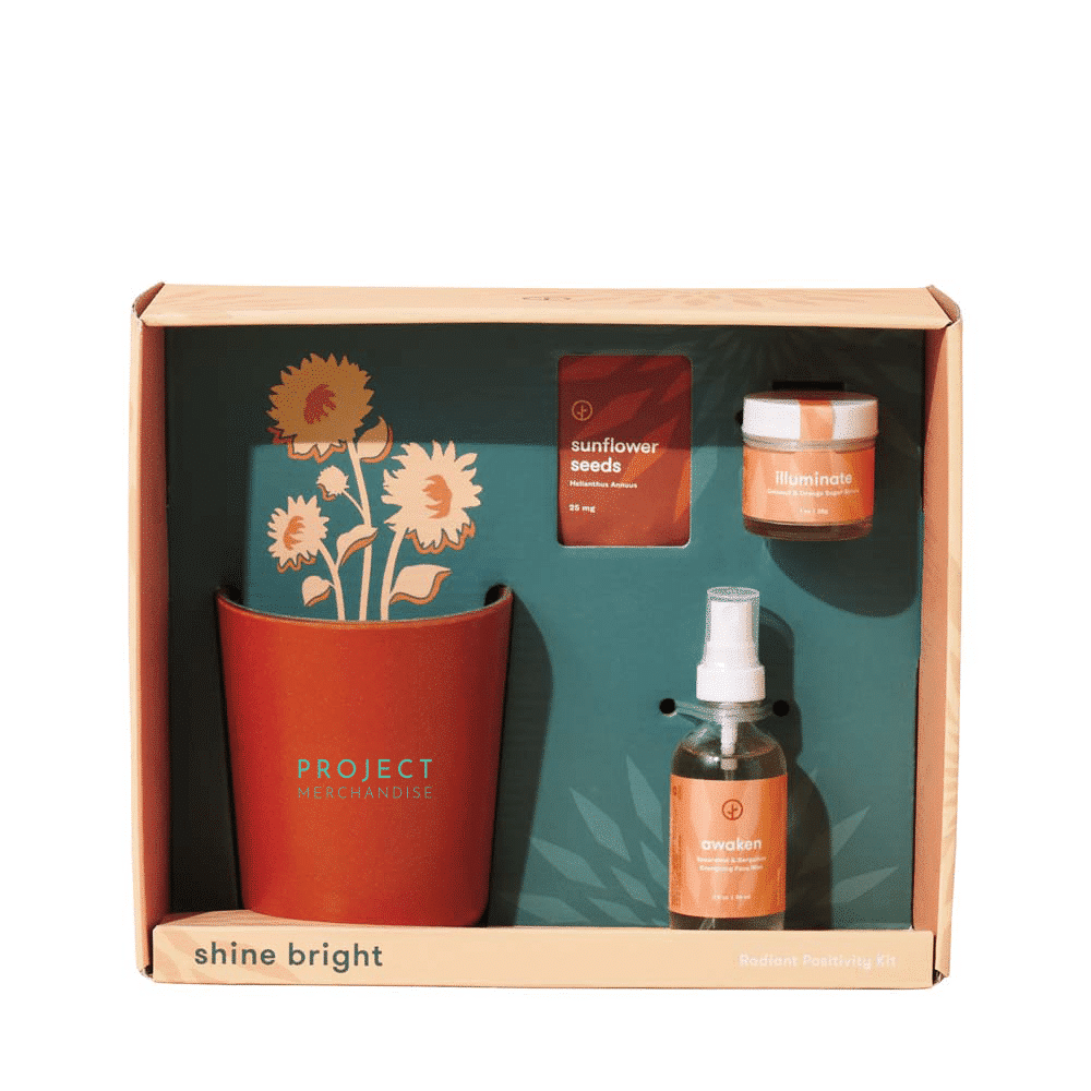 Modern Sprout® Shine Bright Kit