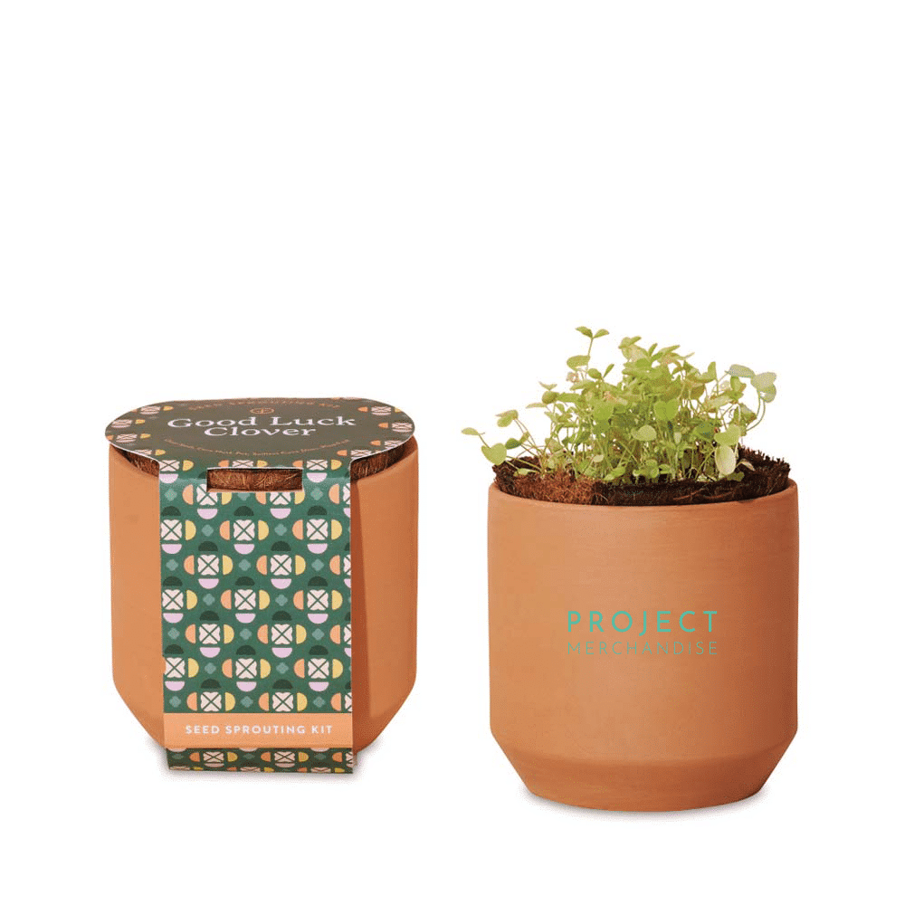 Modern Sprout® Tiny Terracotta Grow Kit