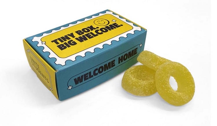 Unite Students - Welcome Gifts Students Actually Want to Use 2 Full Colour Maxi Card Box of Pineapple Rings Unite Students