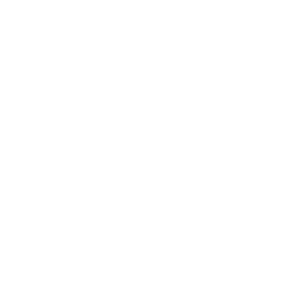 B Corp 8 Governance White